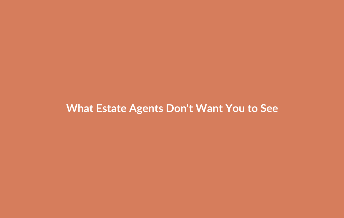 Estate agent presenting property during viewing tour