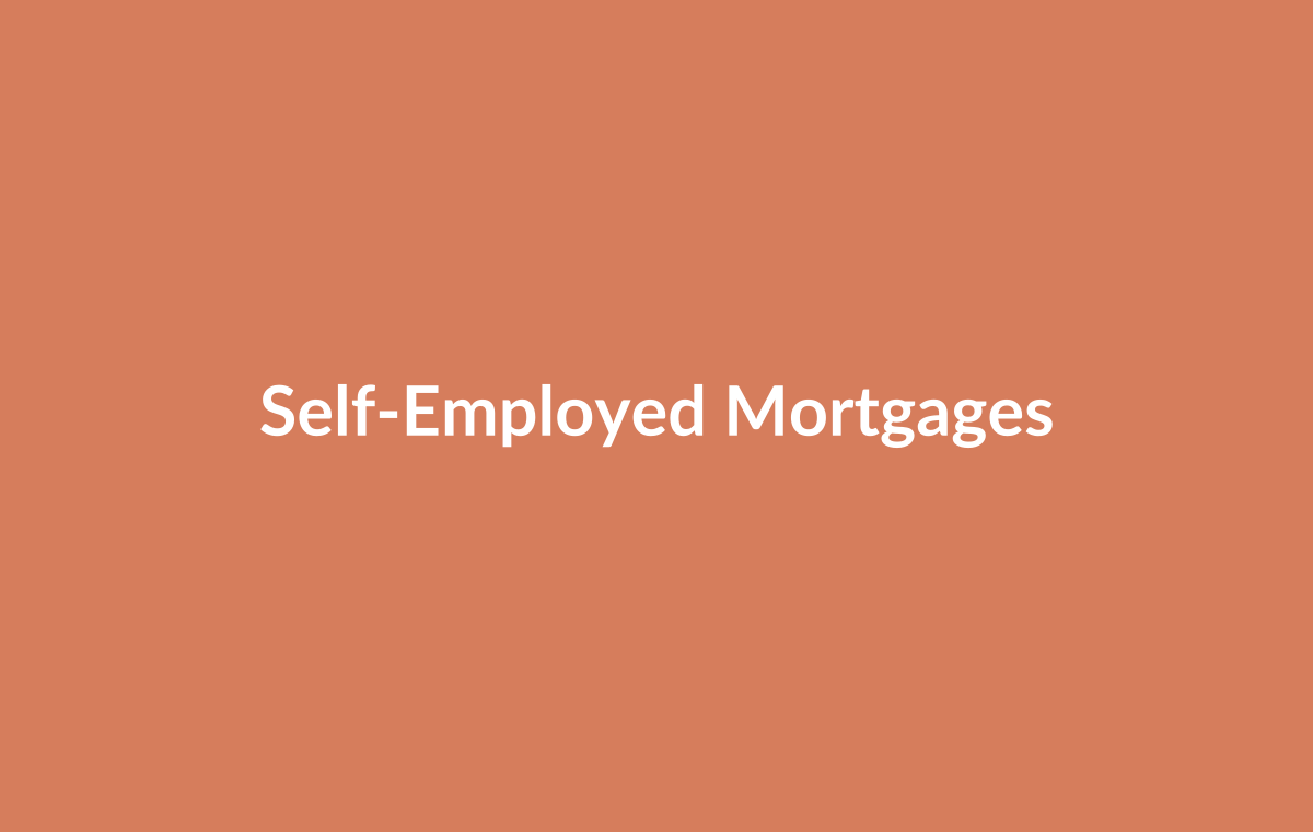 Self-employed professional reviewing business accounts