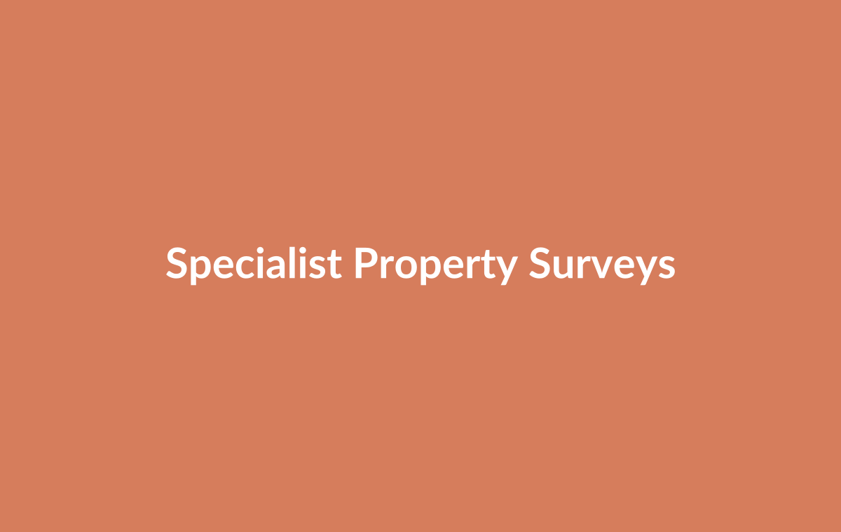 Specialist surveyor conducting detailed inspection